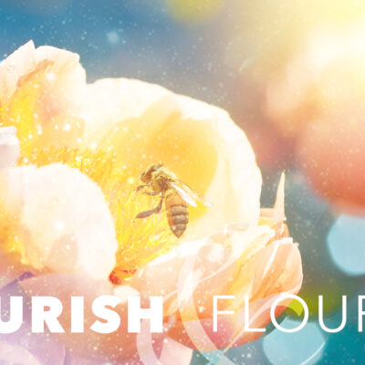Nourish & Flourish