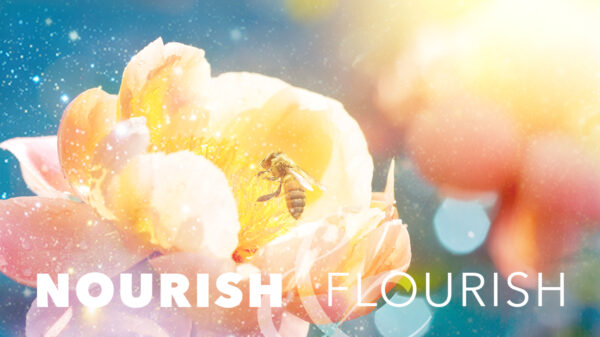 Nourish & Flourish