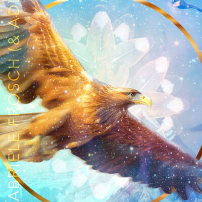 Schwingungsbild Adler