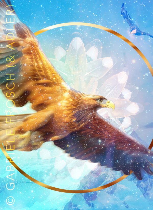 Adler_hoch_e_mW Schwingungsbild Adler