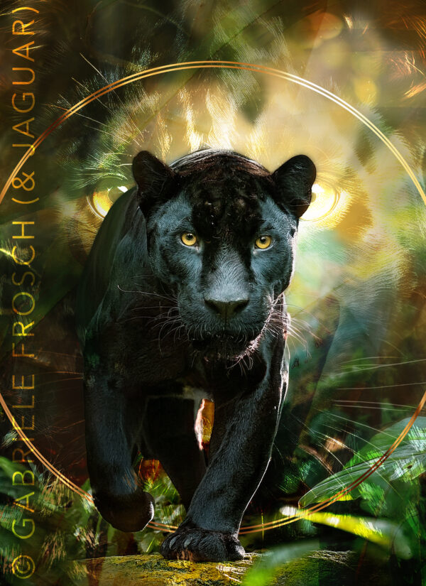 Jaguar_hoch_e_mW Schwingungsbild Jaguar