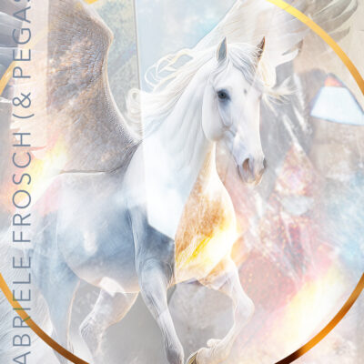 Schwingungsbild Pegasus