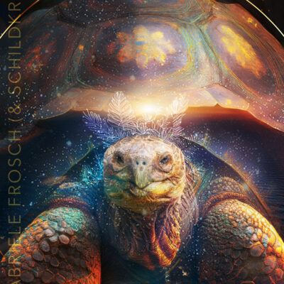 Schwingungsbild Riesenschildkröte