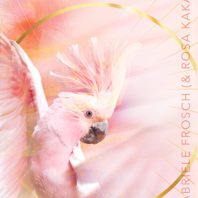 Schwingungsbild Rosa Kakadu