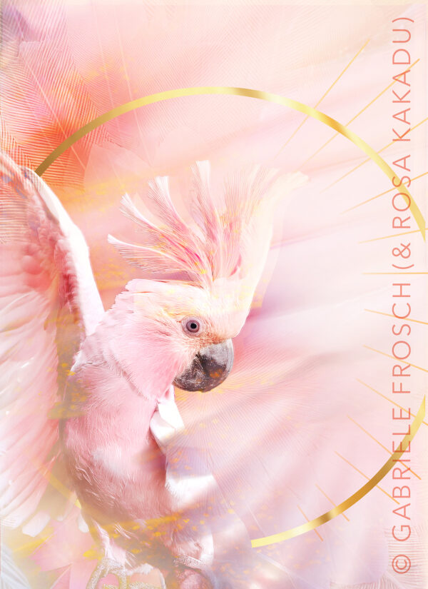 Rosa Kakadu_hoch_e_mW Schwingungsbild Rosa Kakadu