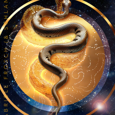 Schwingungsbild Schlange