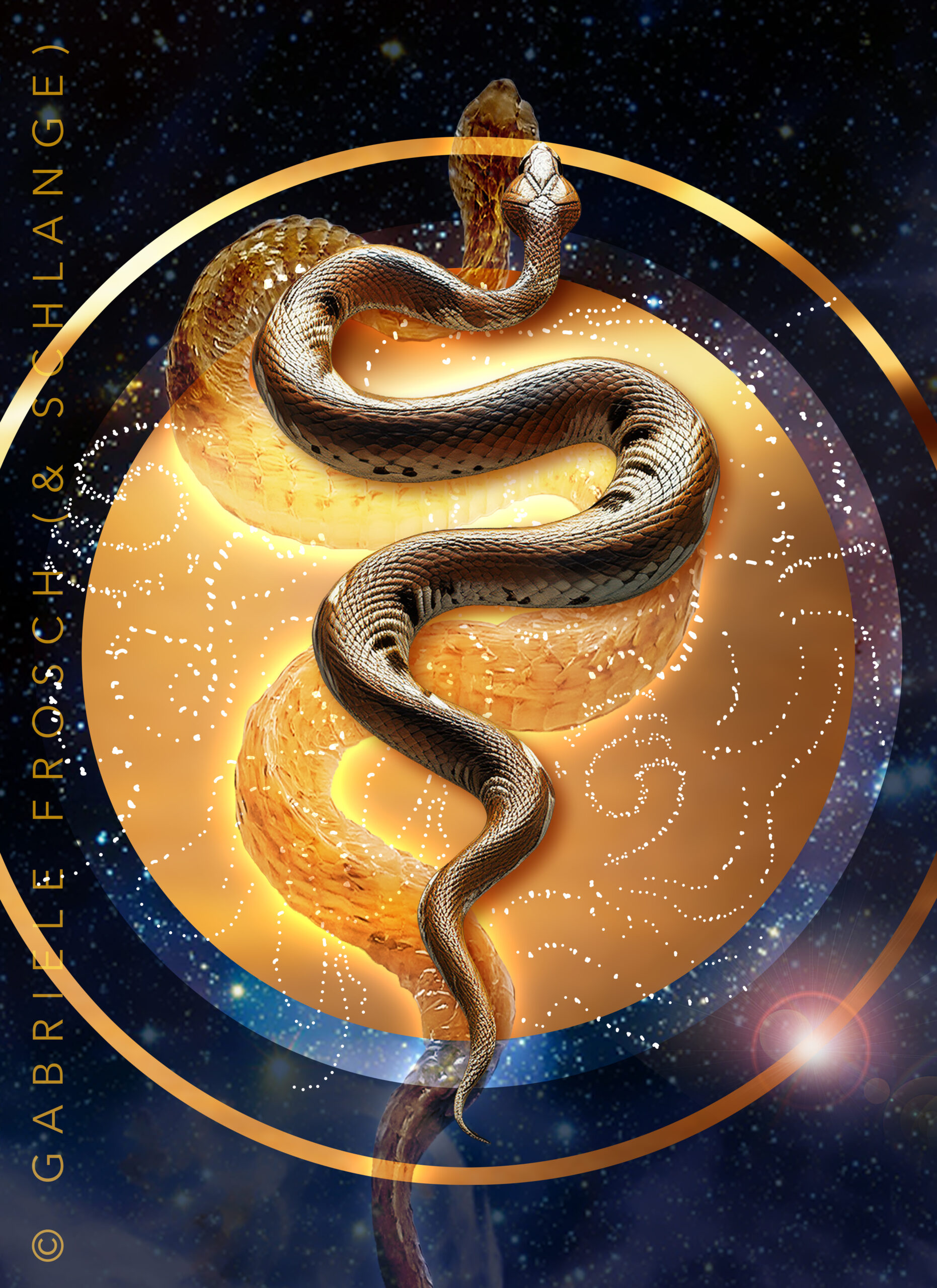 Schwingungsbild Schlange