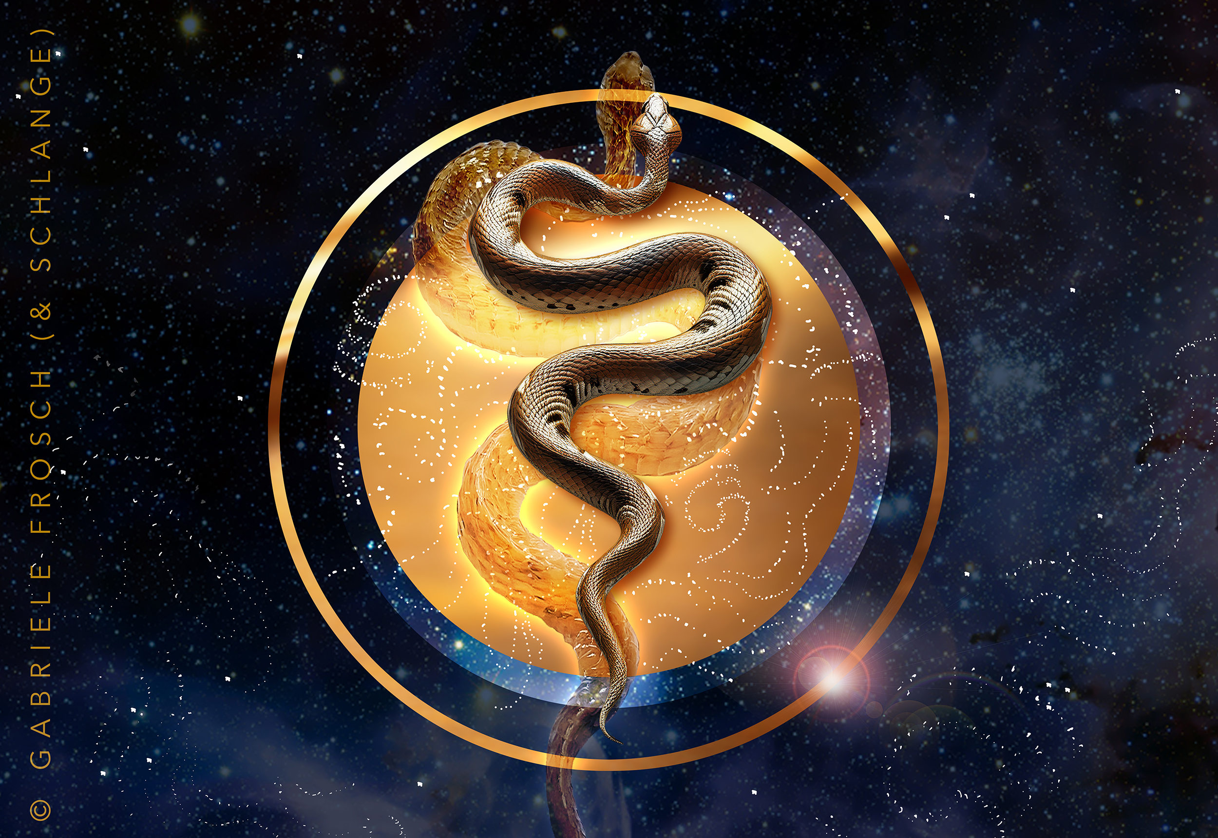 Schwingungsbild Schlange – Bild 2