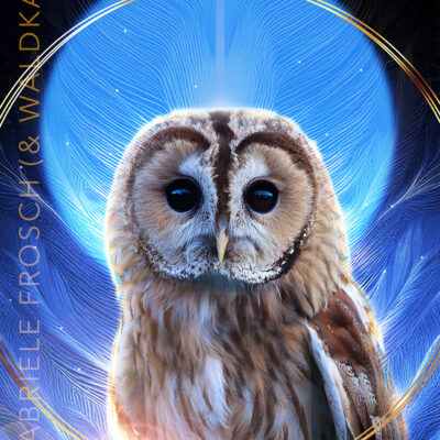 Schwingungsbild Waldkauz