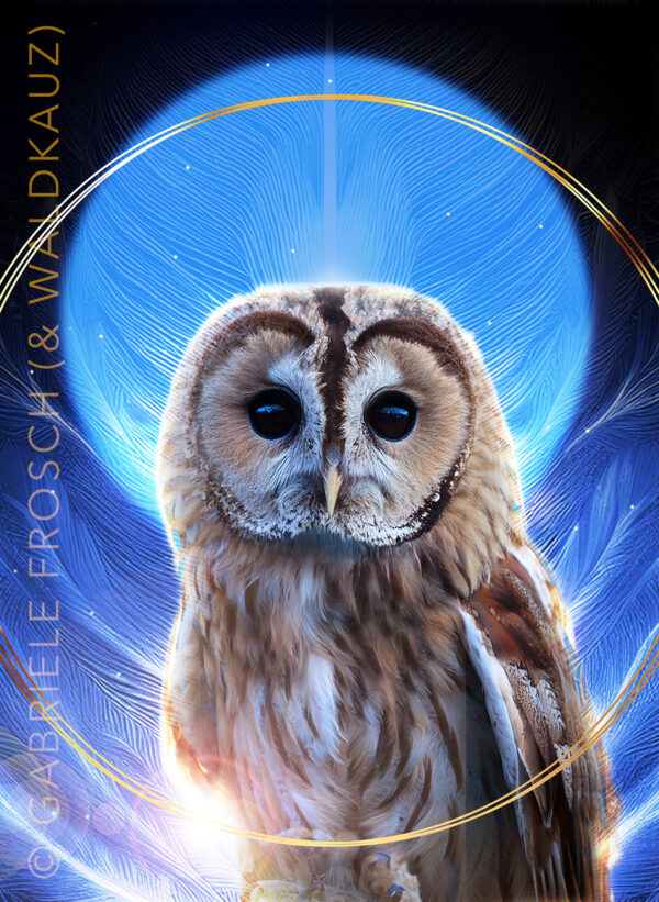 Waldkauz_hoch_e_mW Schwingungsbild Waldkauz